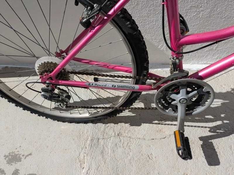 Bicicleta Lilás