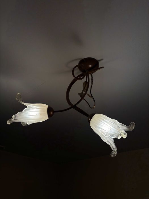 Lampa sufitowa kwiaty i liście 2-punktowa