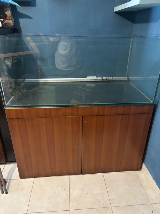 Vendo Aquário Completo