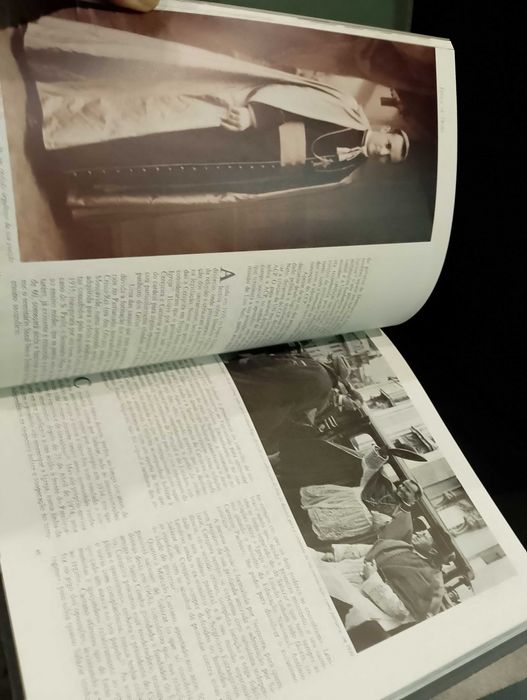 Cardeal Cerejeira - Joaquim Vieira