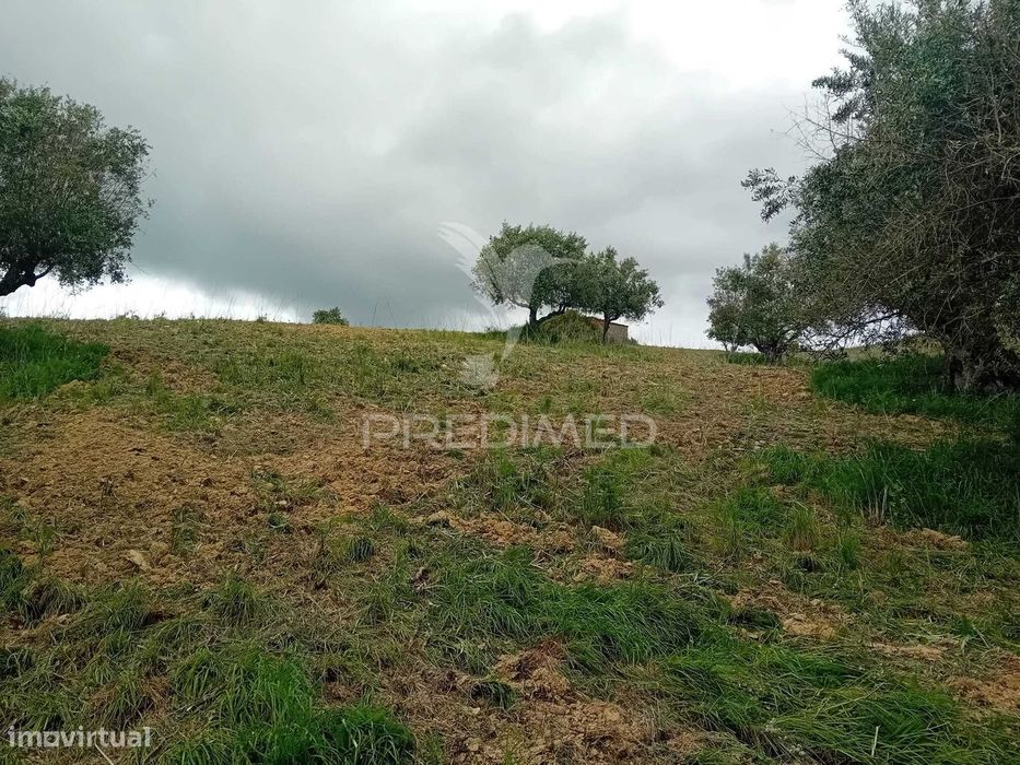 Rustic Land in Pernes