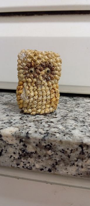 Mochos e corujas