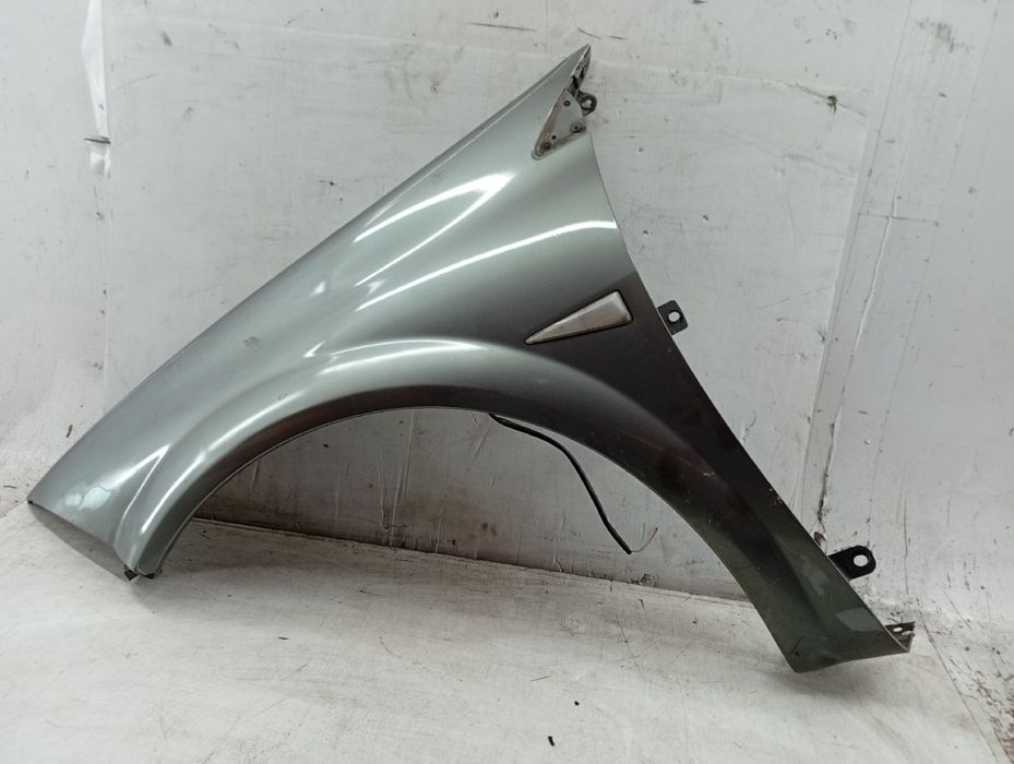 Guarda Lamas Esquerdo - RENAULT Megane II (BM0/1_, CM0/1_) | 01 - 12