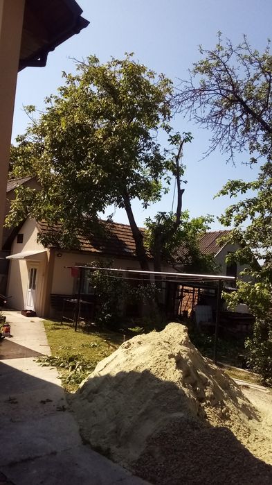 Зрізання зрізка дерев