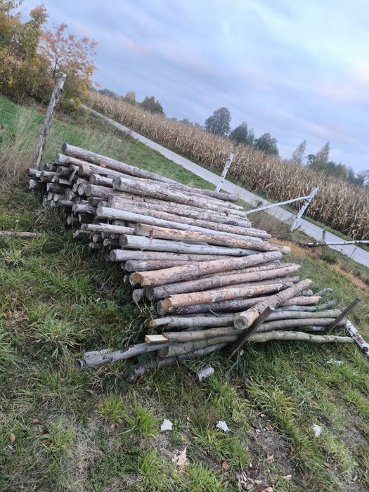 Stęple budowlane