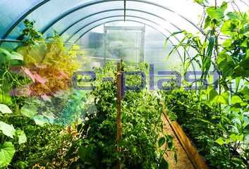 Poliwęglan komorowy 4mm bezbarwny