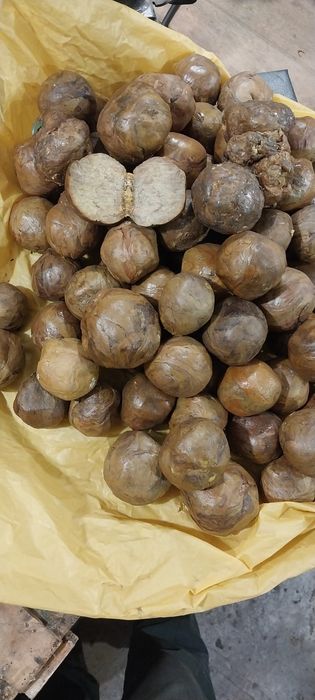 Продам прополіс очищений