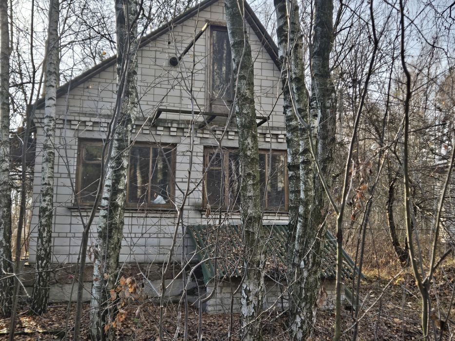 Дача у сосновому лісі біля Дніпра! Стовп’яги, СТ «Славутич»