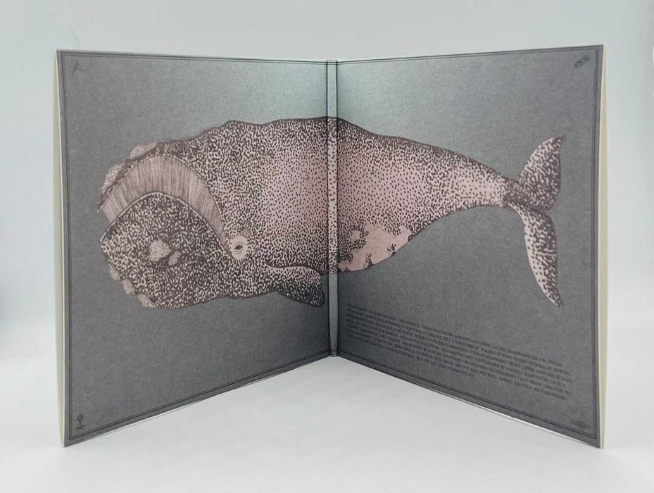 Junip – Junip (2013, Germany / U.S.A.)