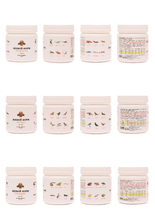 Живой корм – Зофобас Зоофобус Zophobas morio Кормовые насекомые