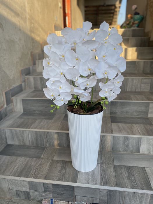 Латексна орхідея