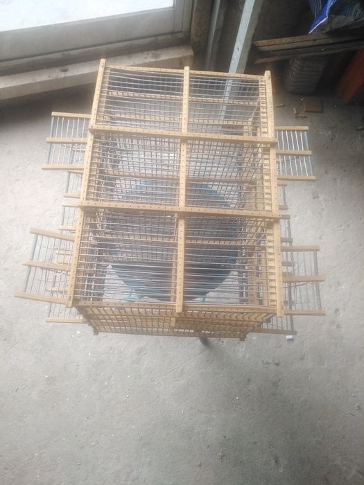 Alçapão automático