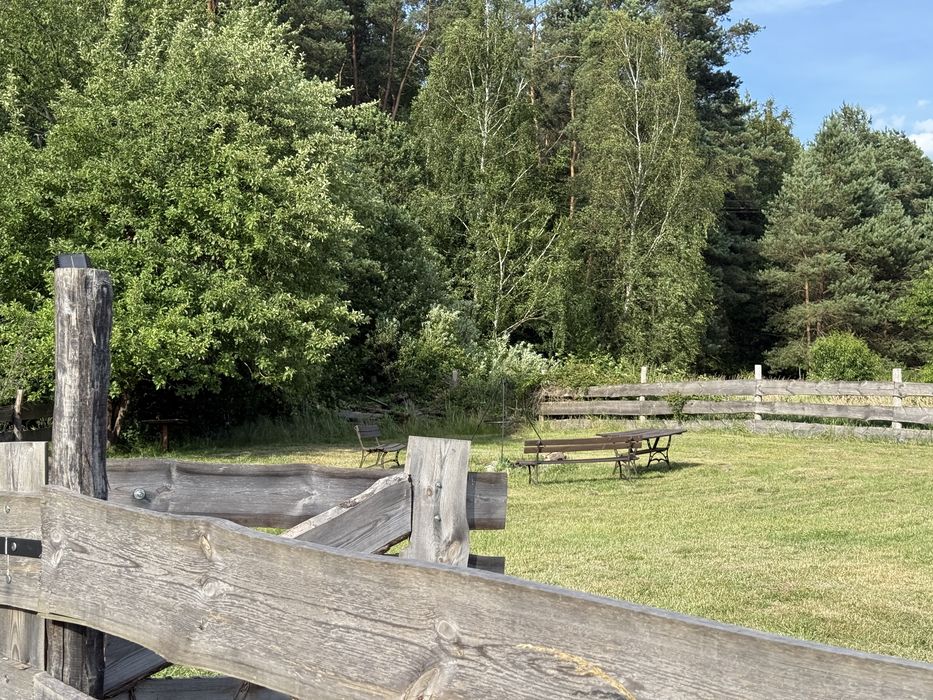 Mazury Siemiany noclegi domek „Przy lesie”