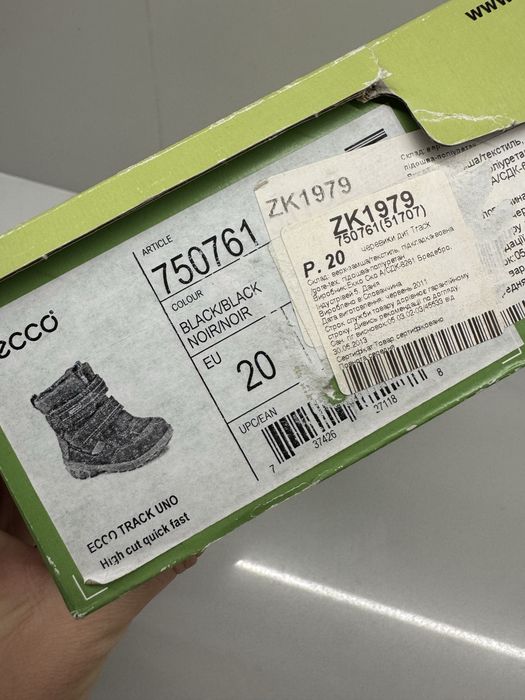 Зимові черевики Ecco 20 розміру