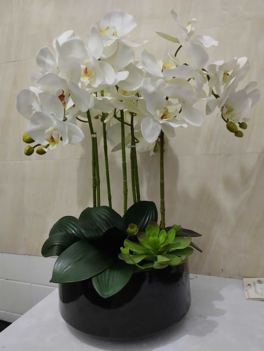 Arranjos de Orquídeas permanentes