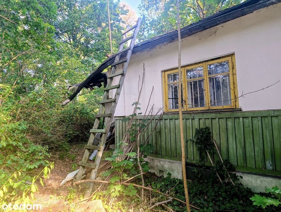 Urokliwa nieruchomość w Zalesiu Górnym.