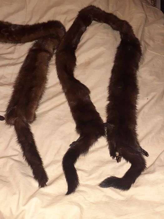 Воротник, либо пояс, с застежкой