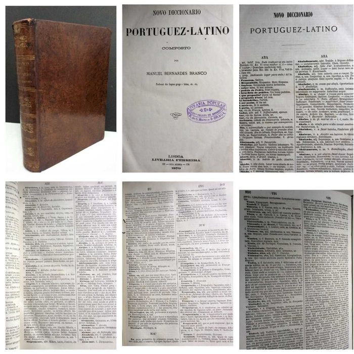 Novo Diccionario Portuguez - Latino. Composto por Manuel Bernardes Branco, 1ª edição, 1879. Raro