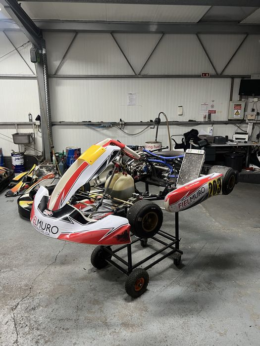 Tony kart IAME X30