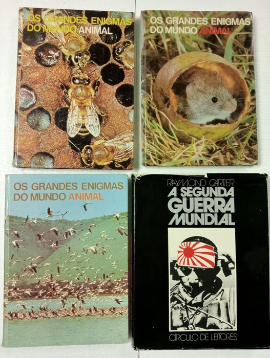 Lote de Livros Baratos