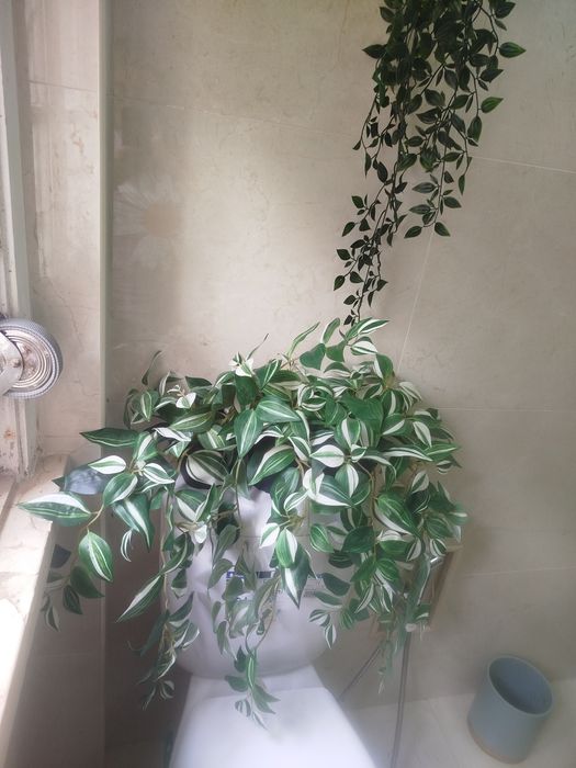 Pack 4 Plantas Artificiais Suspensas – Ideal para Casa de Banho / Interiores