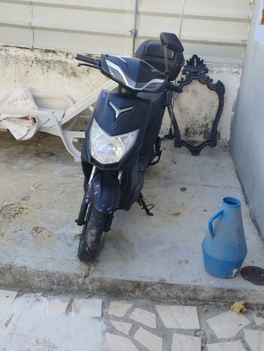 Mota eletrica goose 2