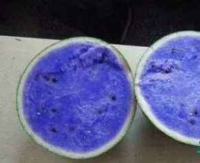 Nasiona arbuzów Blue Watermelon NIEBIESKI arbuz sadzonki arbuza