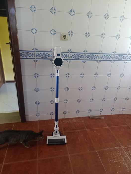 Aspirador vertical