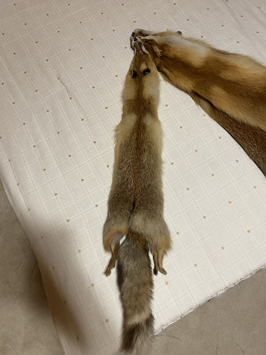 Лисячі шкурки Для интерьеру