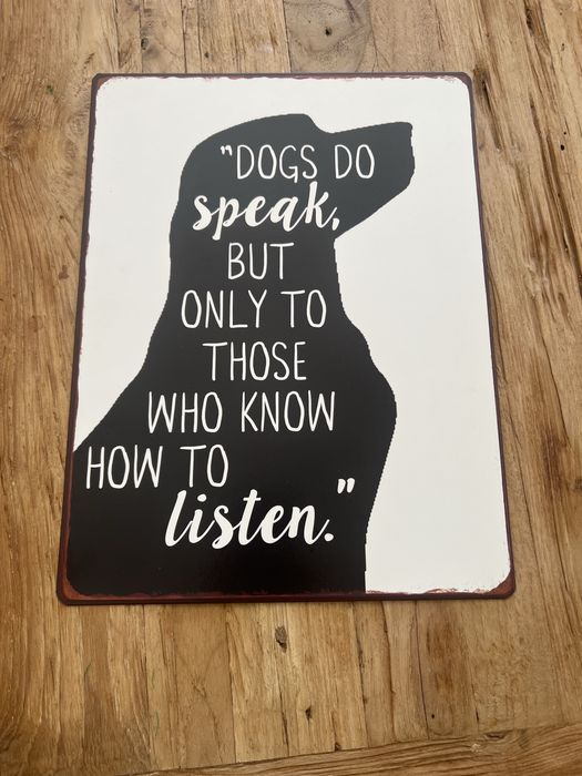 Quadro cão bairro arte