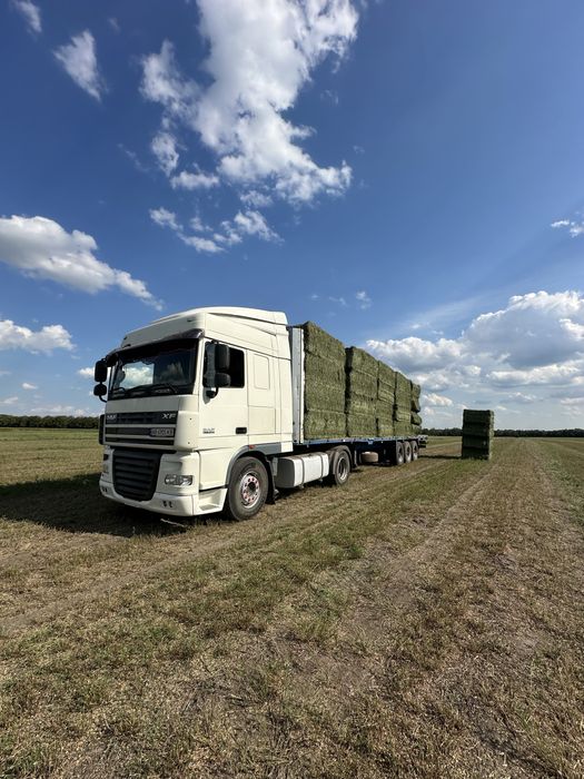 Сіно люцерни у великих квадратах