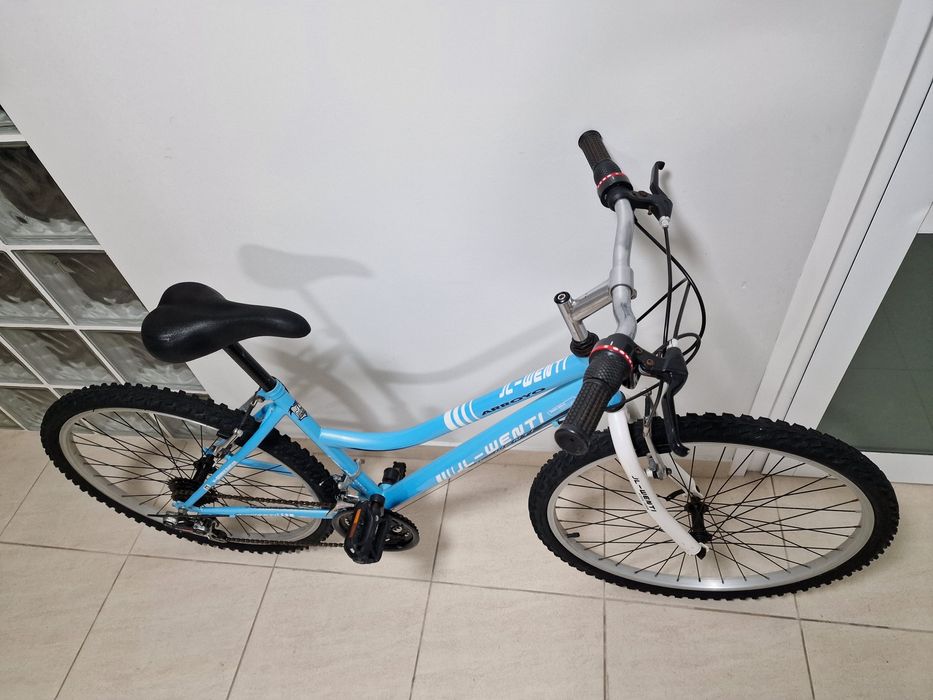 Bicicleta JL-WENTI  Arroyo Roda 26