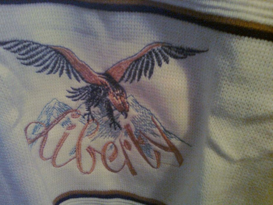 Чоловічий светр з орлом.