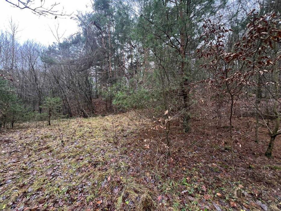 Земля/Садівництво/Львів/ Замарстинівська