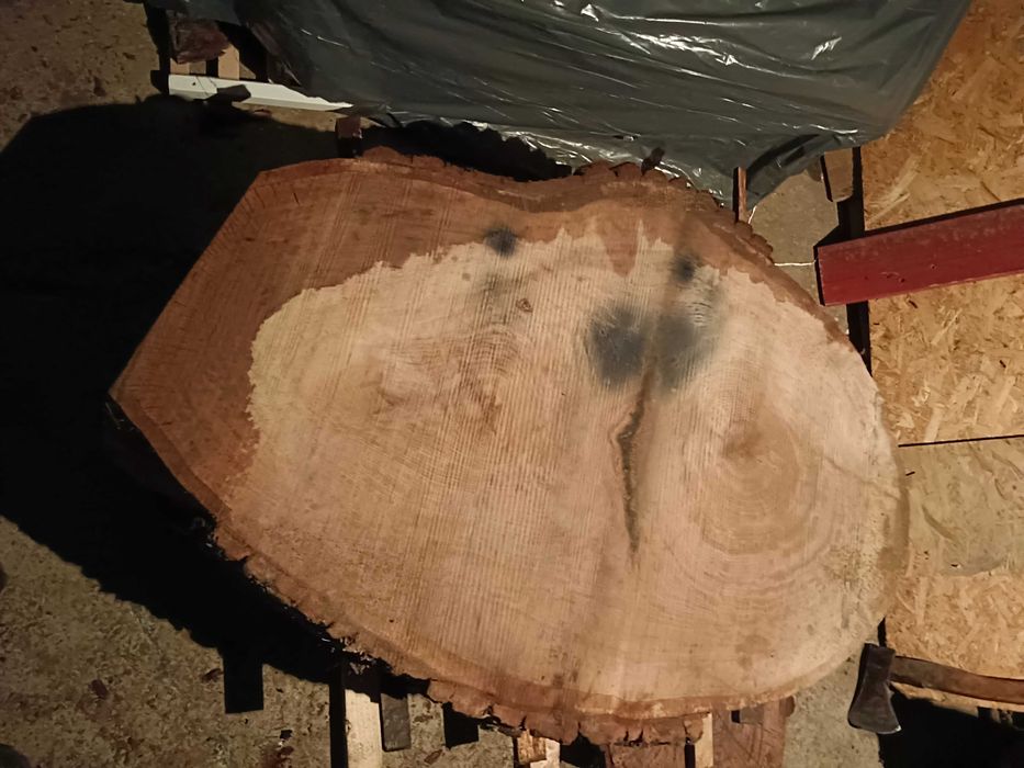 Plastry dębowe do 140cm !!