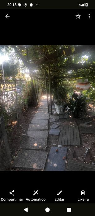 Limpeza de terreno