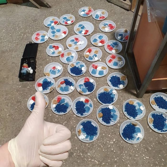 Проф травля тарганів блох клопів мишей щурів плісняви запаху грибка