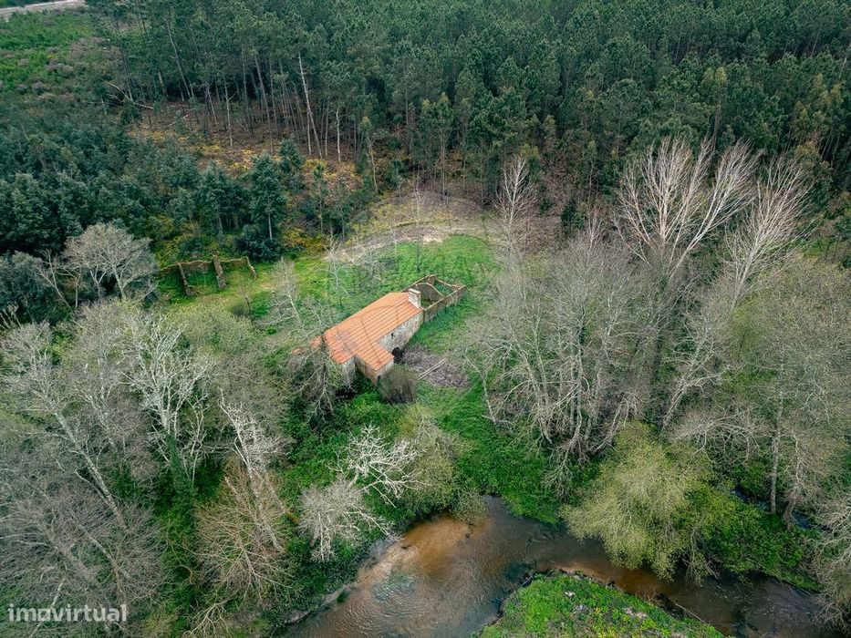 Country Estate for Sale