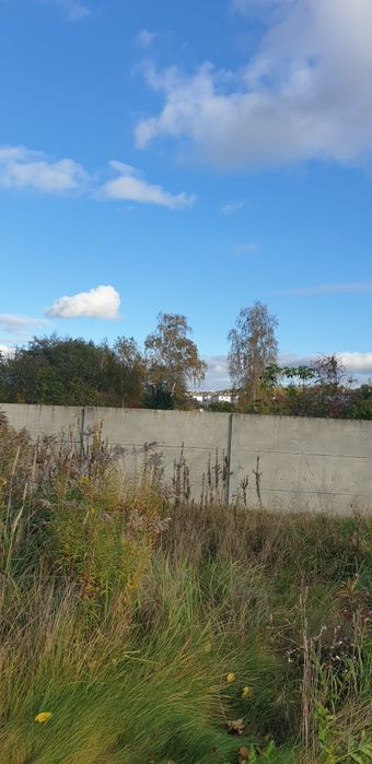 Продаж. Ділянка 35 сот з комунікаціями, в центрі Зарічан.