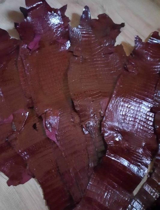 Кожа крокодила длина 70--80см