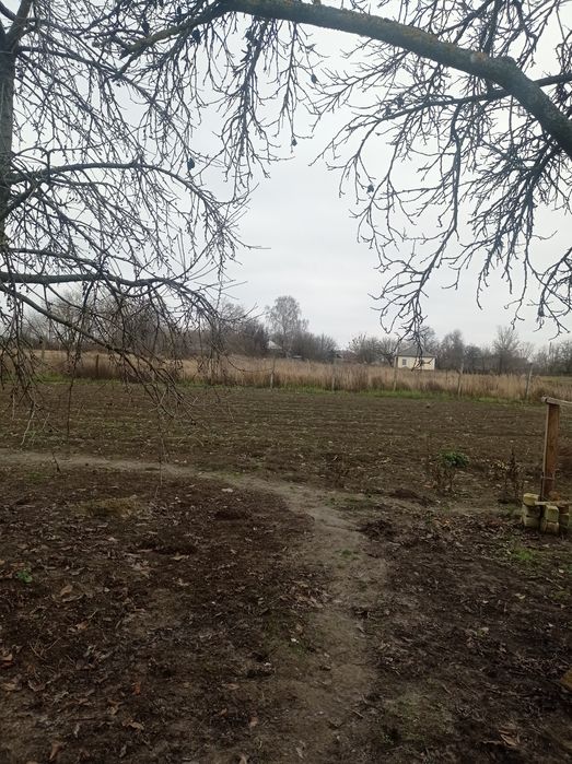 Доглянутий будинок в жилому стані недалеко від Чернігова. Село Виблі.