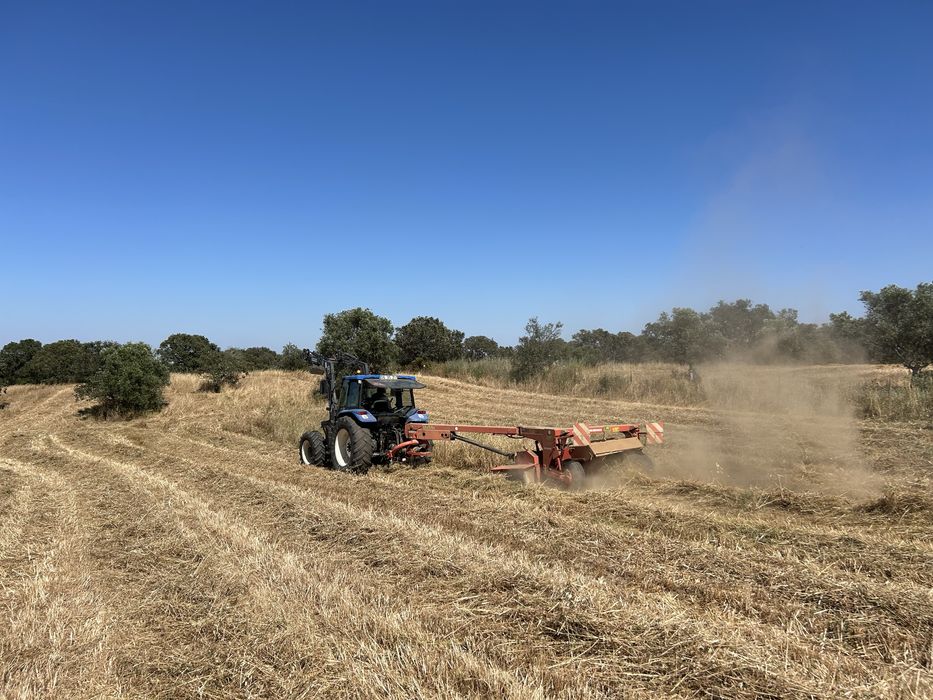 Fardos pequenos Feno Aveia, Azevém, Ervilhaca e Triticale