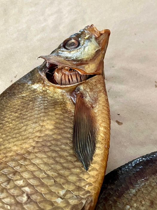 Лящ копчений з ікрою