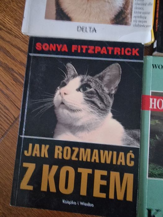 Książki o kotach