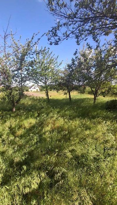 Продам земельну ділянку смт Нова Водолага