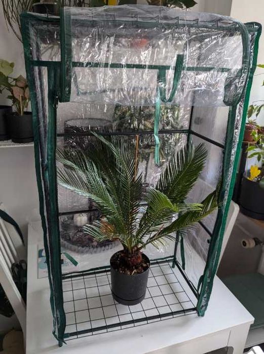 Mini szklarnia balkonowa domowa przezroczysta foliowa na doniczki