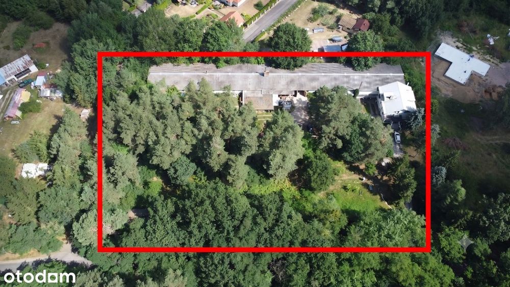 Działka inwestycyjna 8255 m² |MPZP 11 DOMÓW| HALA 1200 m² | DOM 300 m²