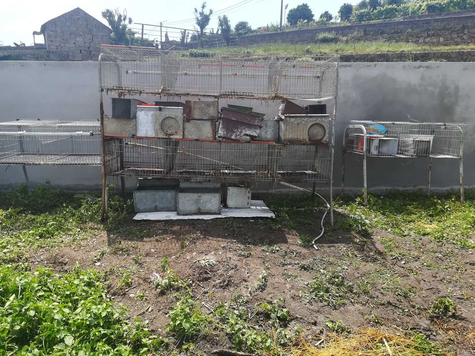 Coelheiras usadas como novas