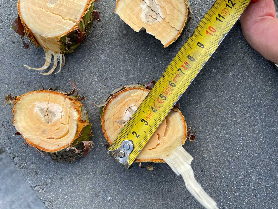 Rębak spalinowy  do gałęzi