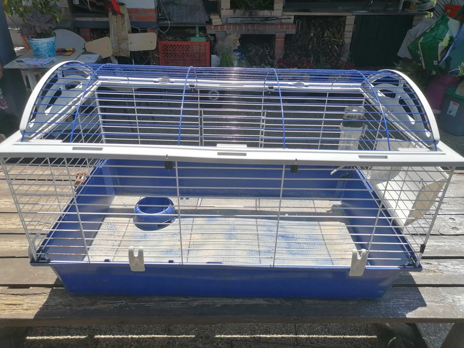 Gaiola Para porquinhos da india